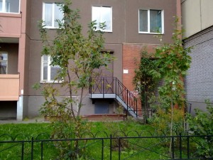 ������. �������������, ��� ���.�����, 75 ��.� infrus.ru