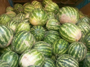 ������, �������� ���, ��������, �������. infrus.ru