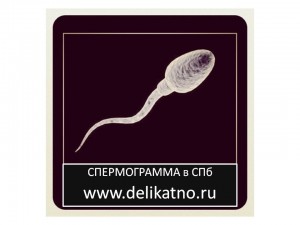 ������������ � �����-���������� infrus.ru