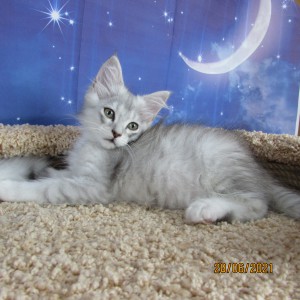 ������� infrus.ru