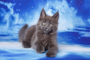 ������� infrus.ru