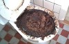 ������� �������� infrus.ru