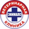 ������� ������������ ������� ������� infrus.ru