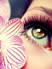 ������� ����� infrus.ru